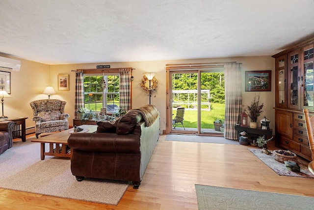 1 Castle View Ln, Belgrade, ME 04917 - living room featuring healthy amount of natural light, light wood-style flooring, and an AC wall unit