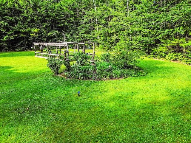 1 Castle View Ln, Belgrade, ME 04917 - view of green lawn