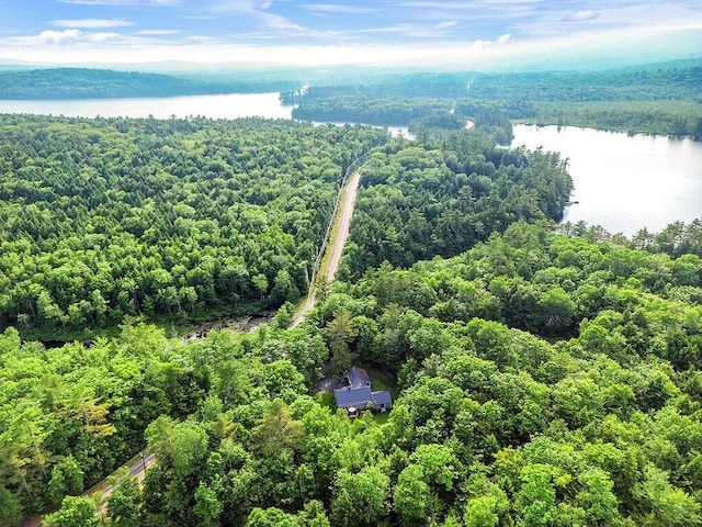 1 Castle View Ln, Belgrade, ME 04917 - bird's eye view of a large body of water and a forest