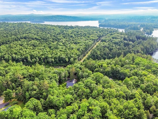 1 Castle View Ln, Belgrade, ME 04917 - bird's eye view of a forest and a large body of water