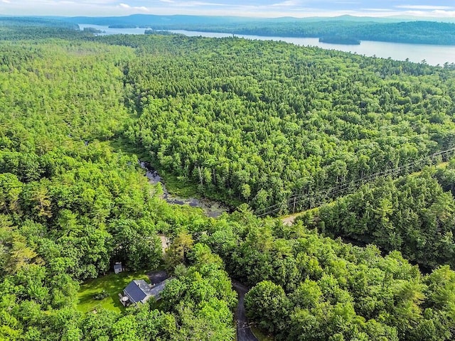 1 Castle View Ln, Belgrade, ME 04917 - aerial view of a forest and a nearby body of water