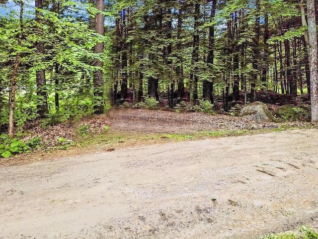 1 Castle View Ln, Belgrade, ME 04917 - view of street featuring a view of trees