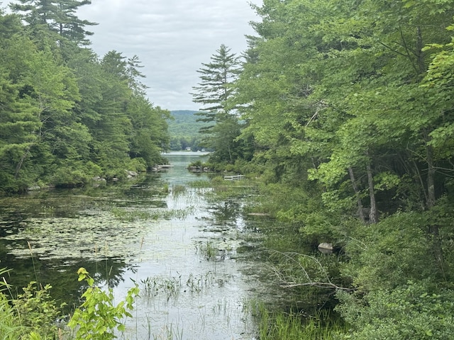 1 Castle View Ln, Belgrade, ME 04917 - water view featuring a forest