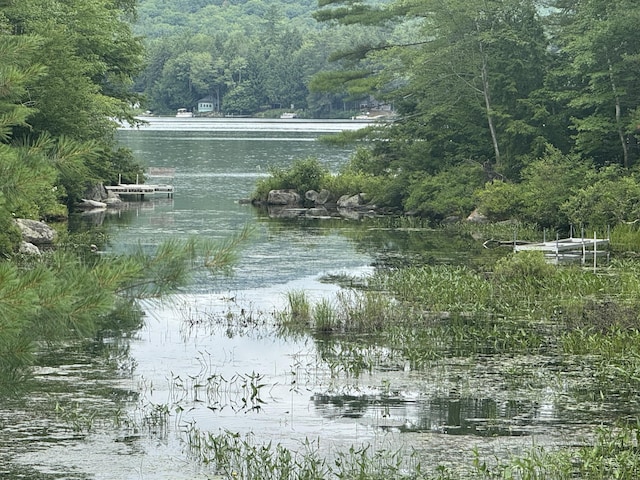1 Castle View Ln, Belgrade, ME 04917 - water view featuring a heavily wooded area