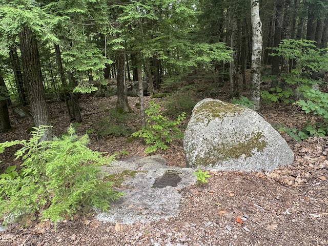 1 Castle View Ln, Belgrade, ME 04917 - view of nature