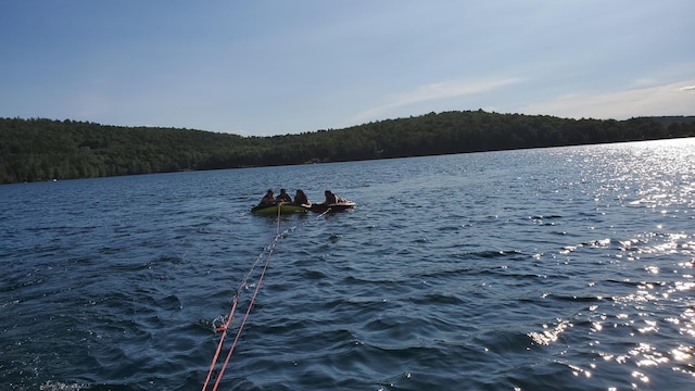 OFF Dyer Brook Rd, Dyer Brook, ME 04747 - photo 11