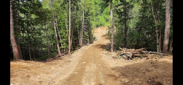 OFF Dyer Brook Rd, Dyer Brook, ME 04747 - photo 4