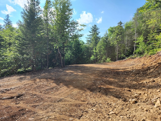 OFF Dyer Brook Rd, Dyer Brook, ME 04747 - photo 5