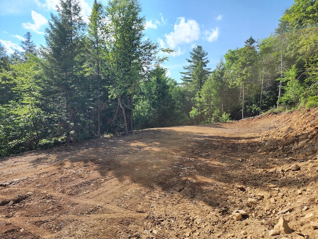 OFF Dyer Brook Rd, Dyer Brook, ME 04747 - photo 7