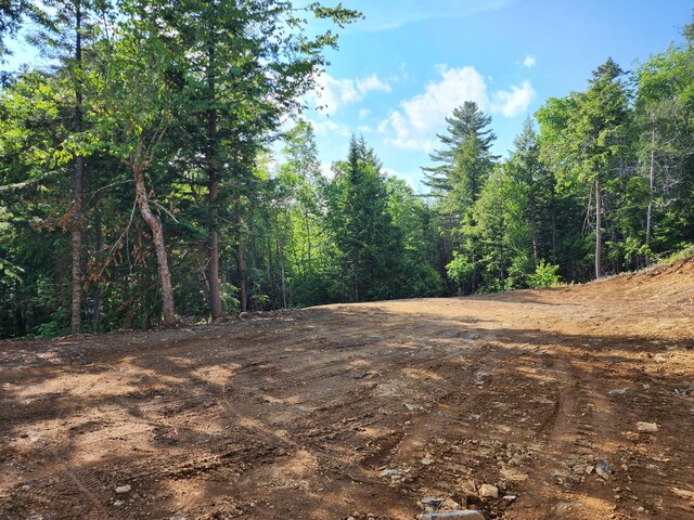 OFF Dyer Brook Rd, Dyer Brook, ME 04747 - photo 6