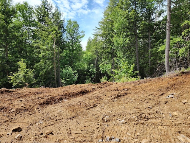 OFF Dyer Brook Rd, Dyer Brook, ME 04747 - photo 13