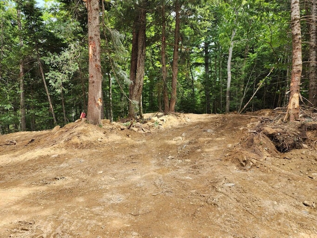 OFF Dyer Brook Rd, Dyer Brook, ME 04747 - photo 15