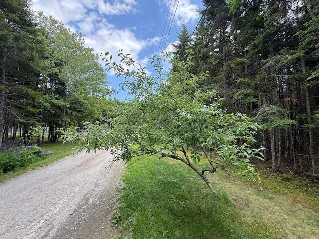 96 Indian Trail Rd, East Machias, ME 04630 - photo 35