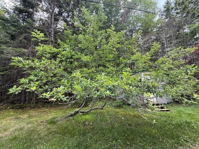 96 Indian Trail Rd, East Machias, ME 04630 - photo 36
