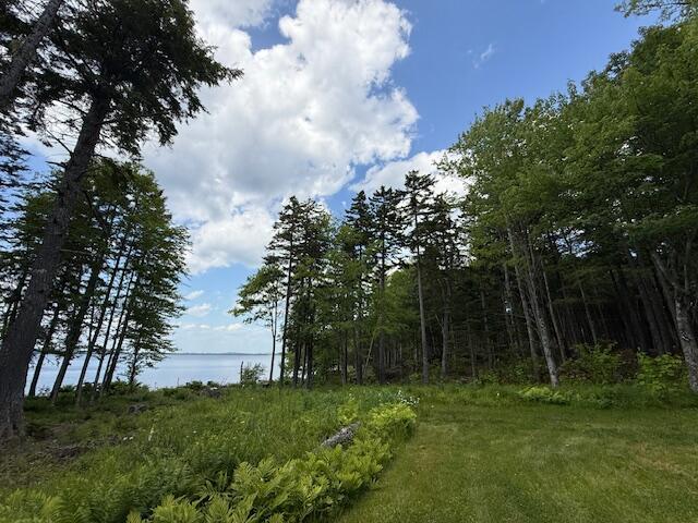 96 Indian Trail Rd, East Machias, ME 04630 - photo 44