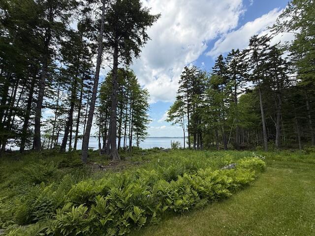 96 Indian Trail Rd, East Machias, ME 04630 - photo 118