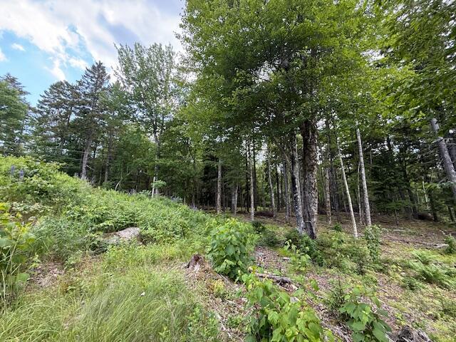 96 Indian Trail Rd, East Machias, ME 04630 - photo 117