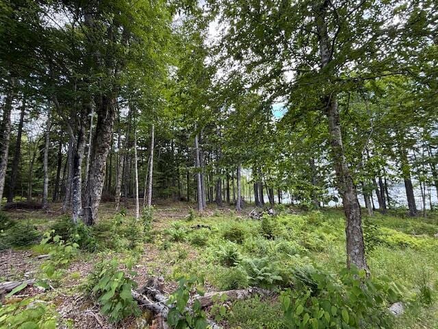 96 Indian Trail Rd, East Machias, ME 04630 - photo 119