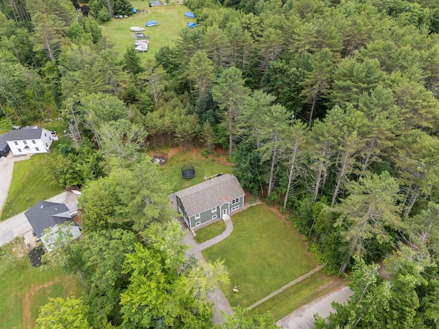 18 Serenity Ln, Harrison, ME 04040 - aerial view of a forest