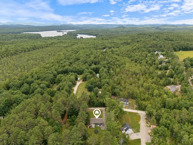 18 Serenity Ln, Harrison, ME 04040 - drone / aerial view of a forest and a water and mountain view