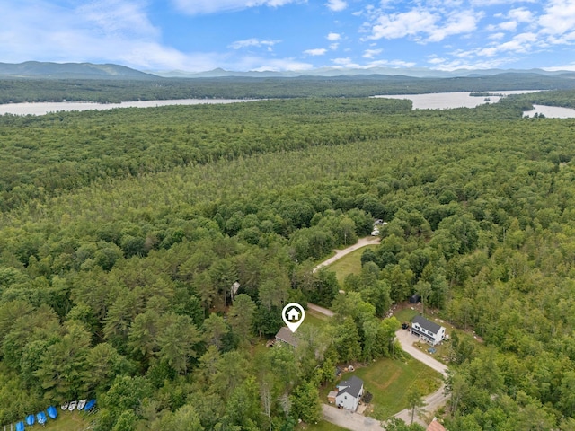 18 Serenity Ln, Harrison, ME 04040 - bird's eye view of a heavily wooded area and a water and mountain view