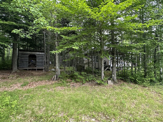 322 Lamb Rd, Roxbury, ME 04275 - view of yard with a storage unit