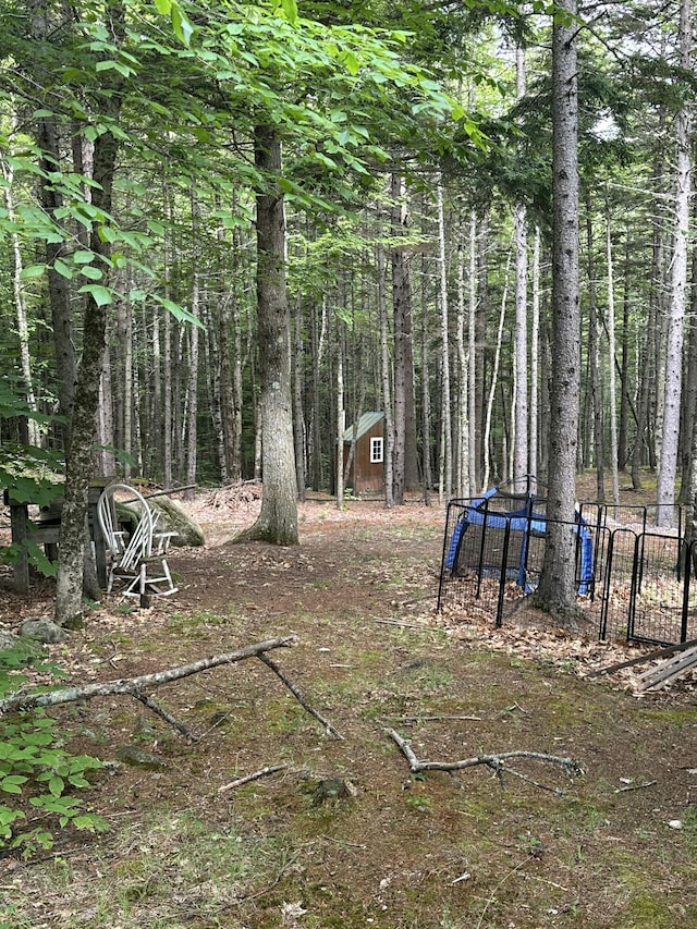 322 Lamb Rd, Roxbury, ME 04275 - view of yard with a storage shed