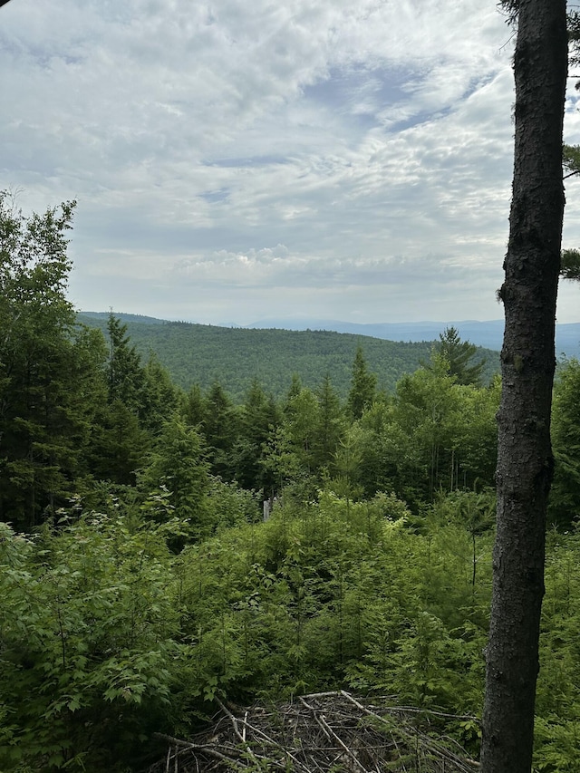 322 Lamb Rd, Roxbury, ME 04275 - view of mountain background with a heavily wooded area