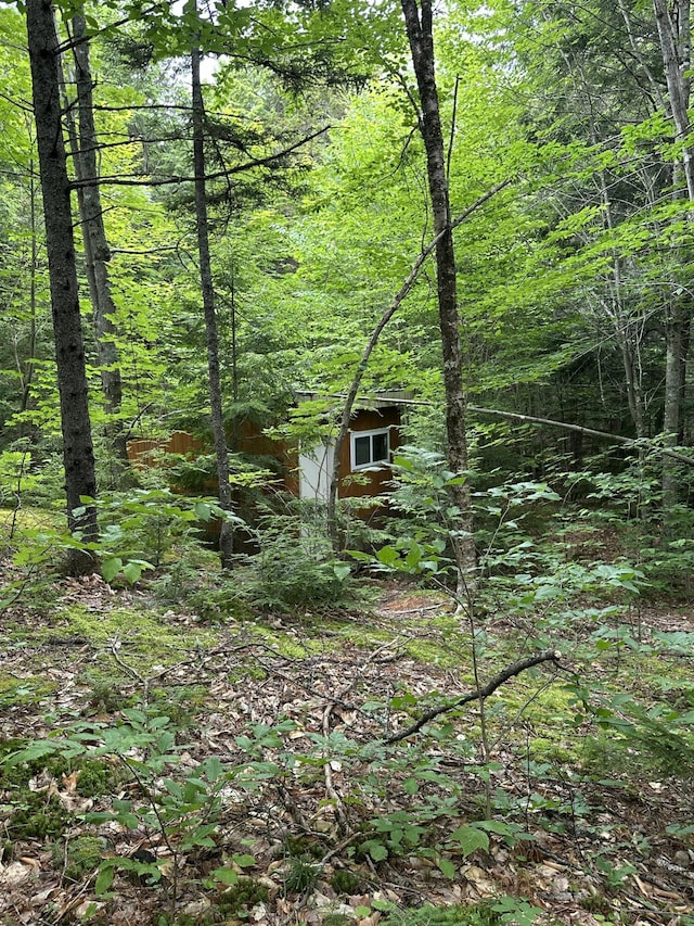 322 Lamb Rd, Roxbury, ME 04275 - view of wooded area