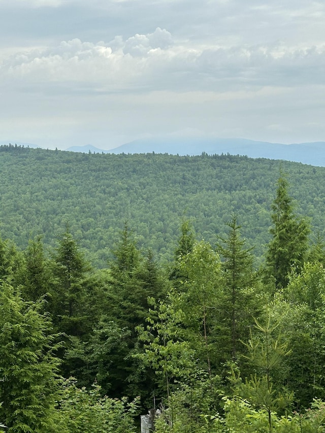 322 Lamb Rd, Roxbury, ME 04275 - view of wooded area