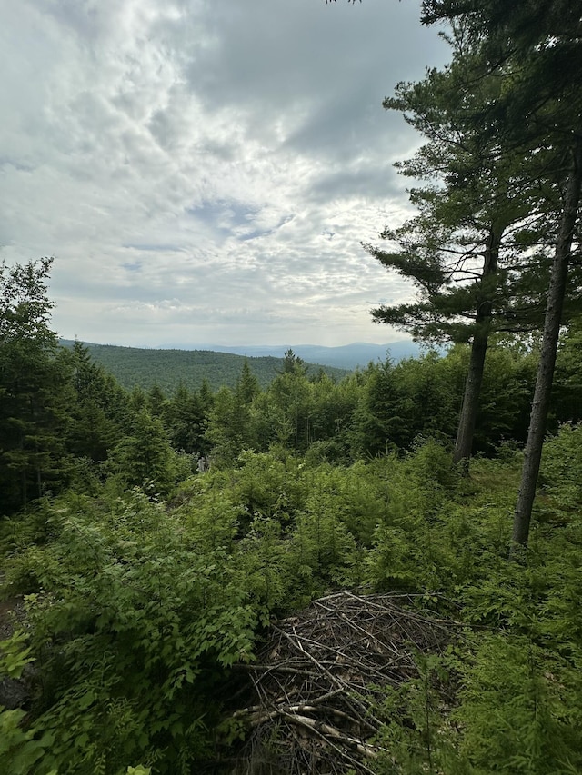 322 Lamb Rd, Roxbury, ME 04275 - view of wooded area