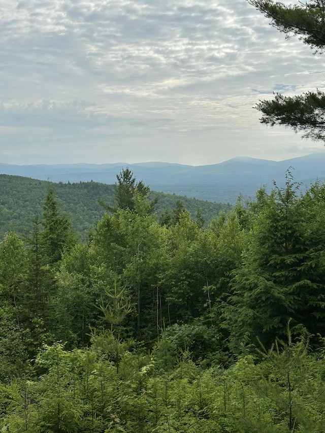 322 Lamb Rd, Roxbury, ME 04275 - mountain view featuring a forest