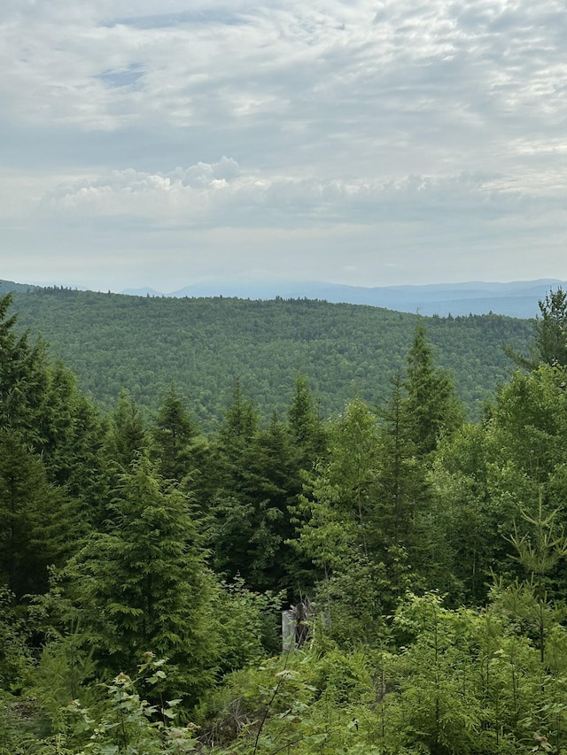 322 Lamb Rd, Roxbury, ME 04275 - water view with a heavily wooded area