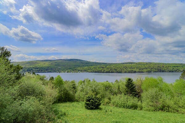 49 Winston Rd, Rangeley, ME 04970 - water view featuring a heavily wooded area