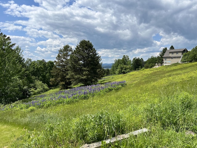 49 Winston Rd, Rangeley, ME 04970 - view of yard