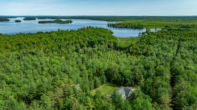 34 Perk Orock Landing Rd, Orono, ME 04473 - aerial view of a forest and a nearby body of water