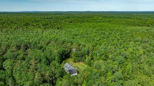34 Perk Orock Landing Rd, Orono, ME 04473 - view of property location featuring a forest