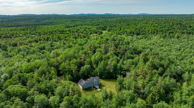 34 Perk Orock Landing Rd, Orono, ME 04473 - bird's eye view of a forest and a mountainous background