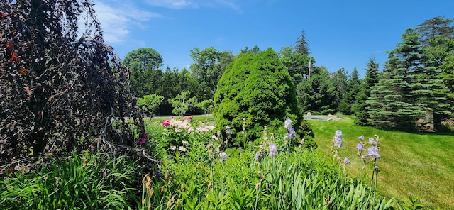 131 E Main St, Searsport, ME 04974 - photo 110