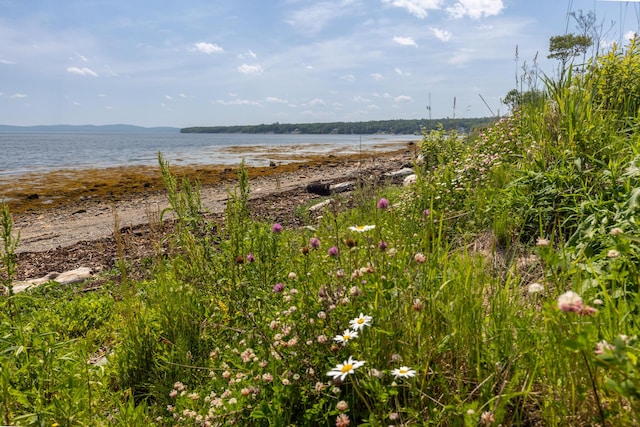 131 E Main St, Searsport, ME 04974 - photo 12