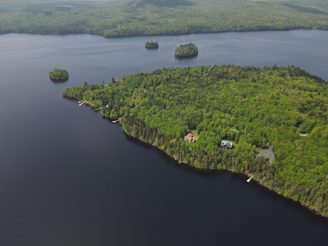 LOT7.4 Pleasant Island Rd, Adamstown Twp, ME 04970 - photo 3