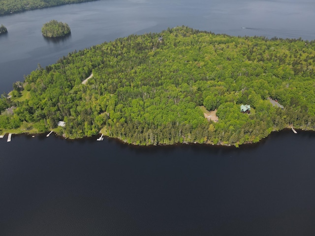 LOT7.4 Pleasant Island Rd, Adamstown Twp, ME 04970 - photo 4