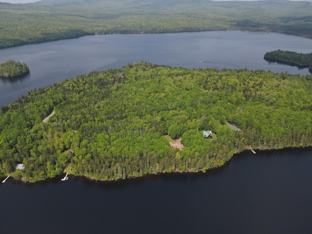 LOT7.4 Pleasant Island Rd, Adamstown Twp, ME 04970 - photo 5