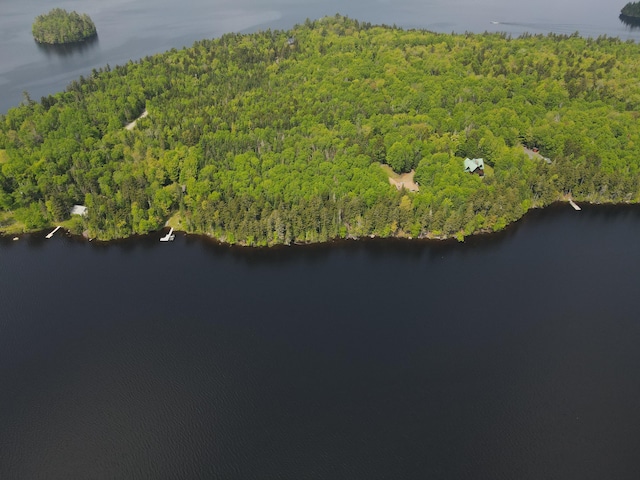 LOT7.4 Pleasant Island Rd, Adamstown Twp, ME 04970 - photo 6