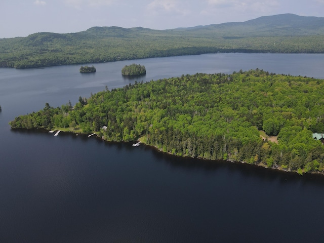 LOT7.4 Pleasant Island Rd, Adamstown Twp, ME 04970 - photo 7