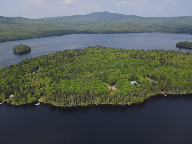 LOT7.4 Pleasant Island Rd, Adamstown Twp, ME 04970 - photo 8