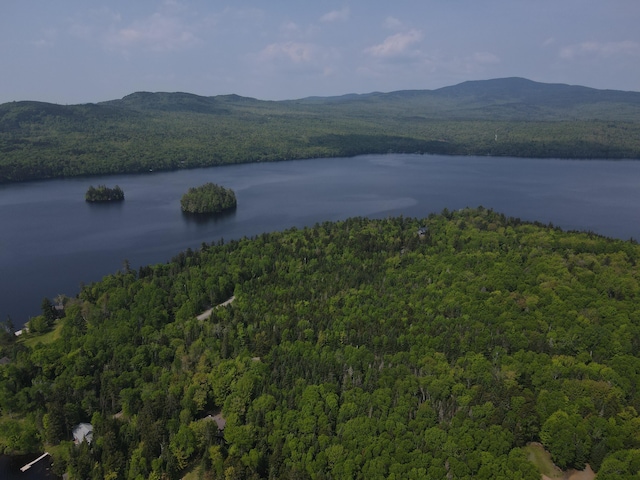 LOT7.4 Pleasant Island Rd, Adamstown Twp, ME 04970 - photo 9