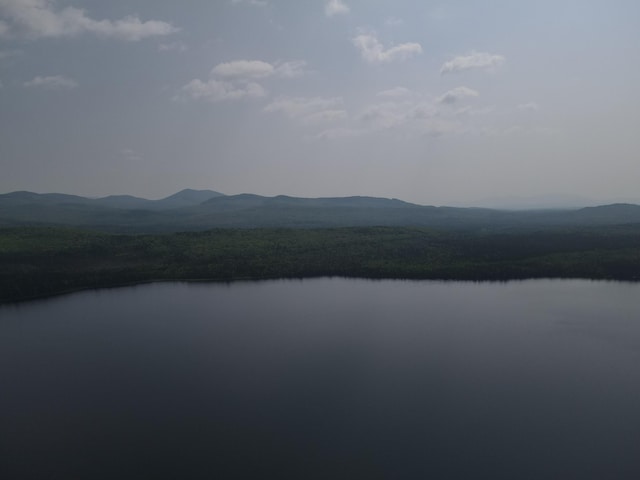 LOT7.4 Pleasant Island Rd, Adamstown Twp, ME 04970 - photo 10
