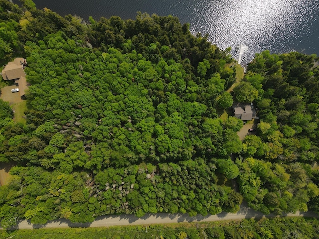 LOT7.4 Pleasant Island Rd, Adamstown Twp, ME 04970 - photo 11