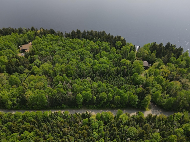 LOT7.4 Pleasant Island Rd, Adamstown Twp, ME 04970 - photo 12